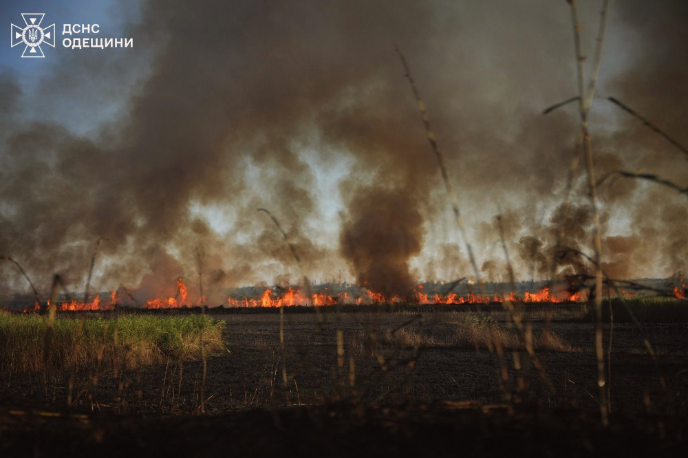 13917 image for slide