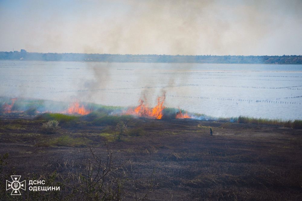 13918 image for slide