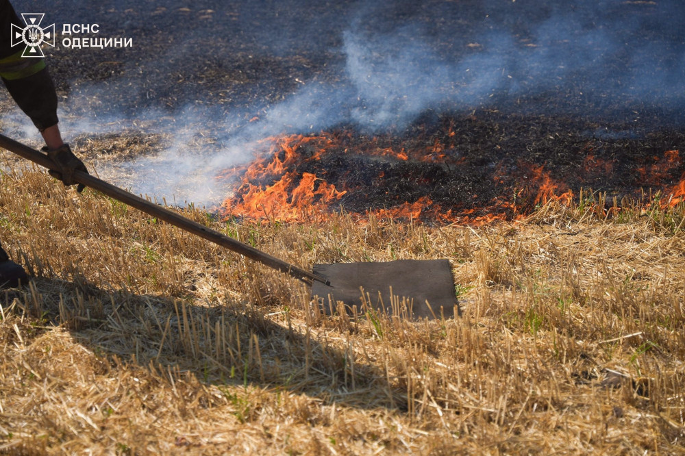 13919 image for slide