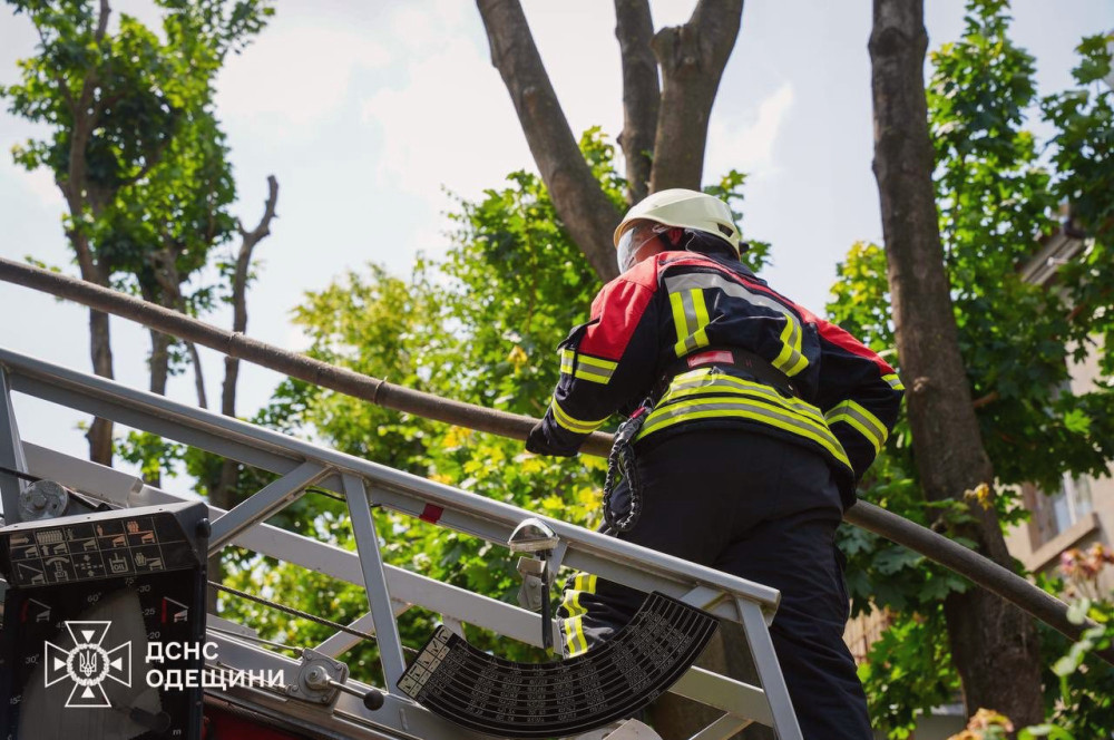 14037 image for slide