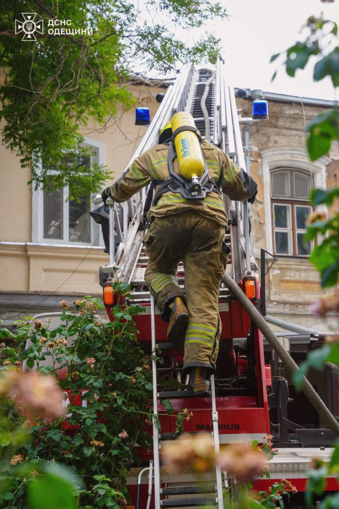 14039 image for slide