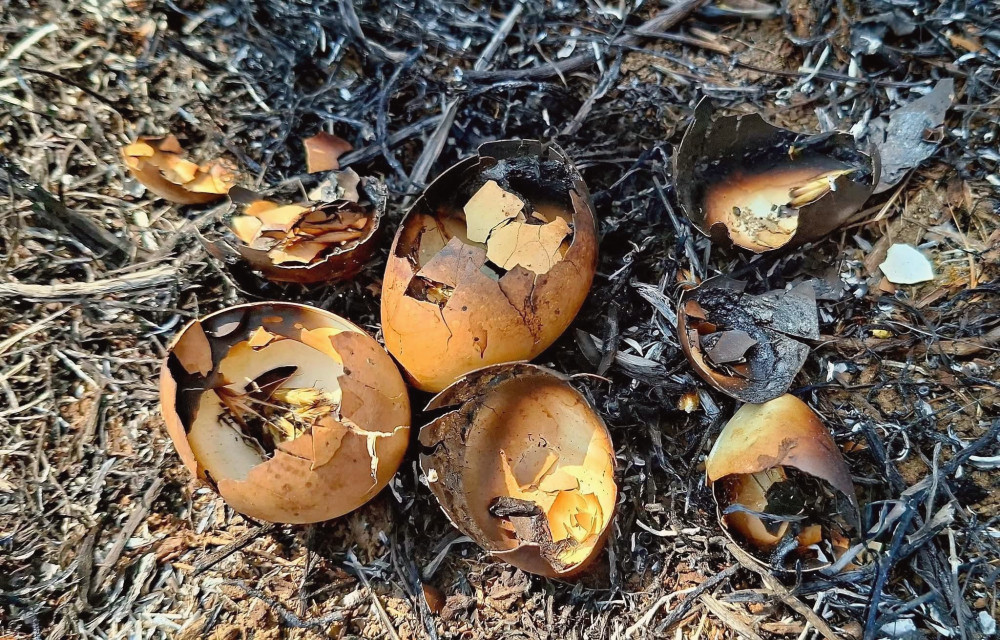 14126 image for slide