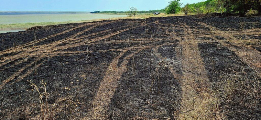 14127 image for slide