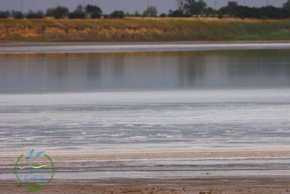 14385 image for slide