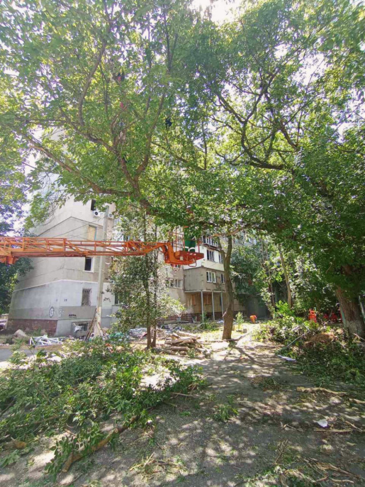 14906 image for slide