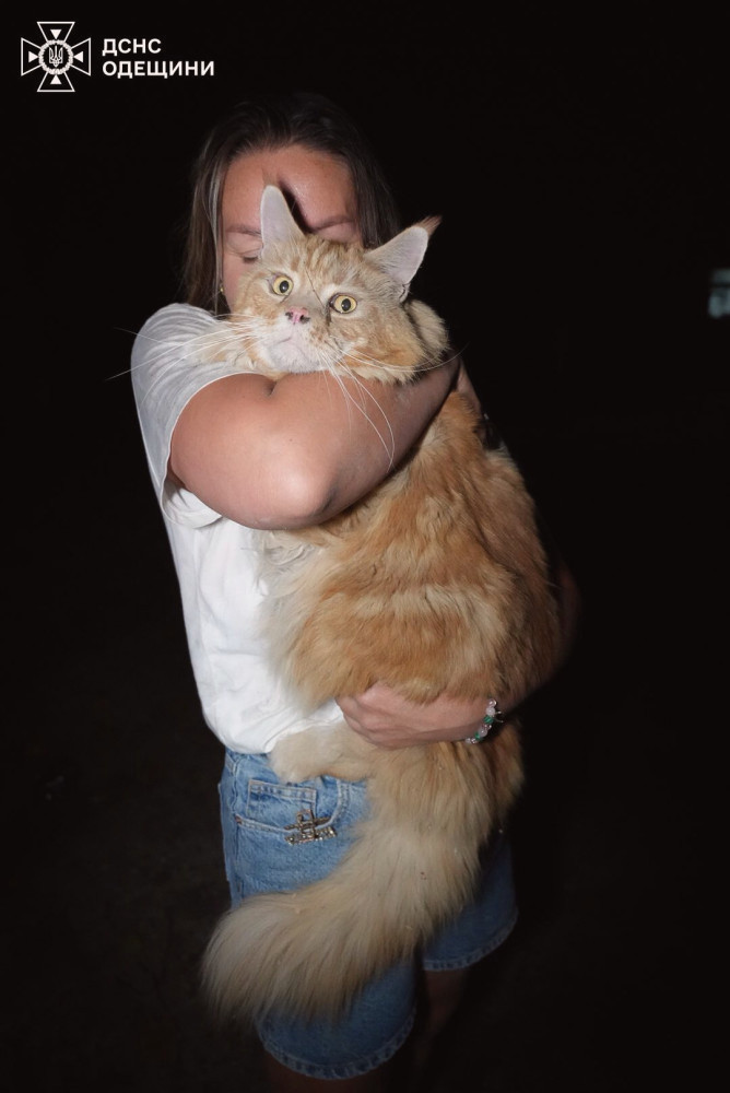 15045 image for slide