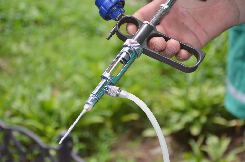 15323 image for slide