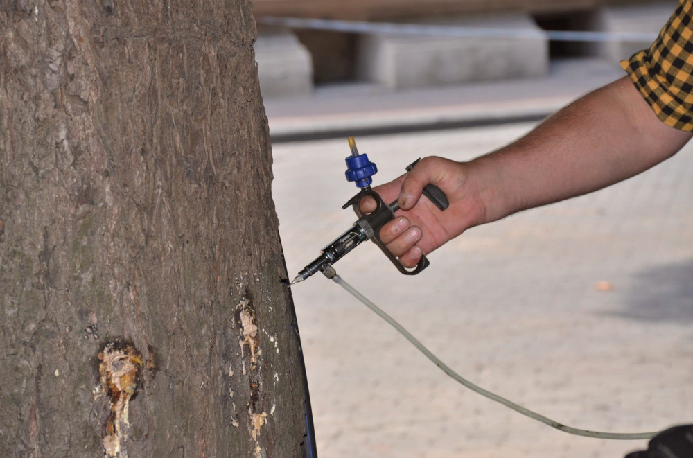 15324 image for slide