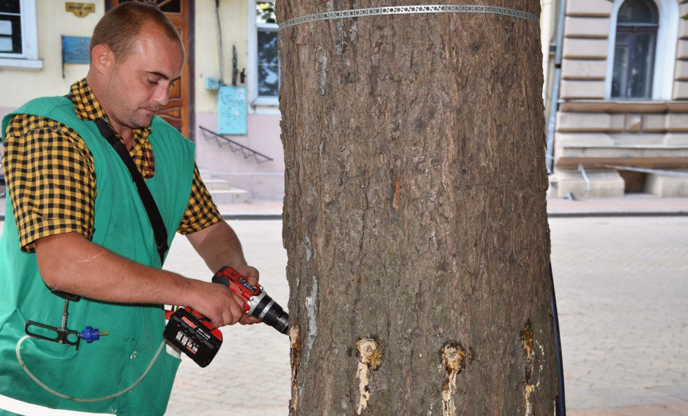 15325 image for slide