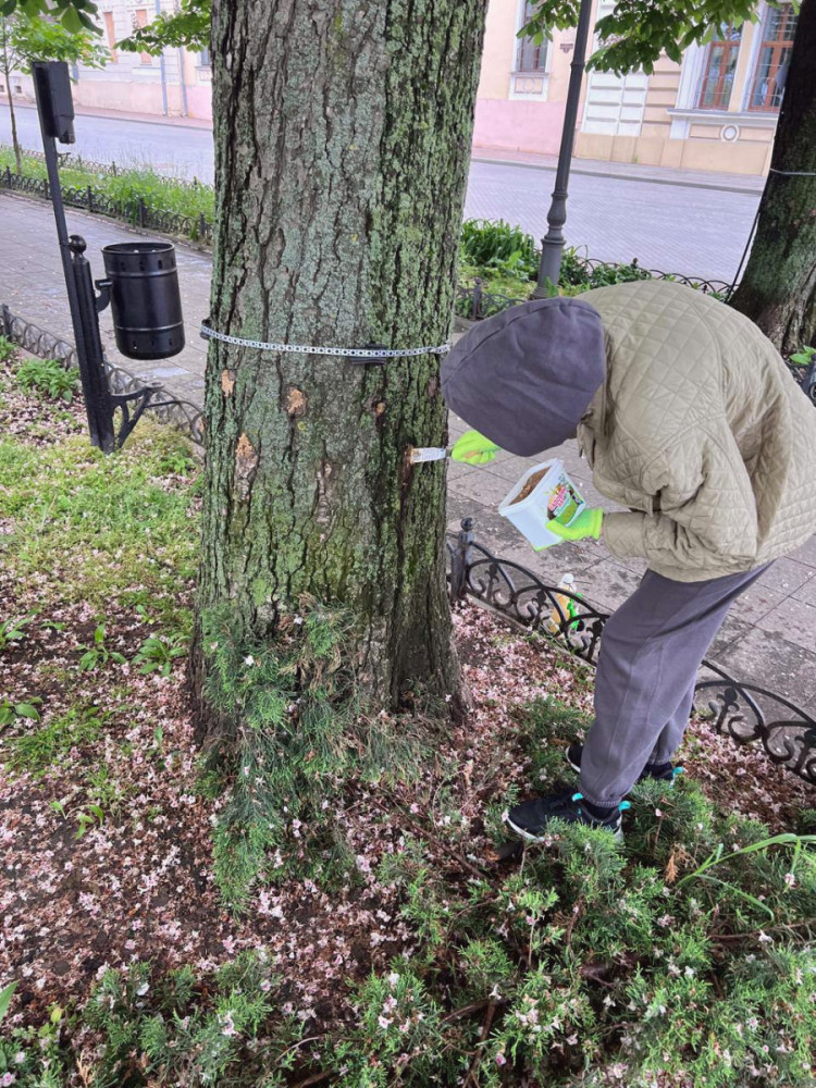 15327 image for slide