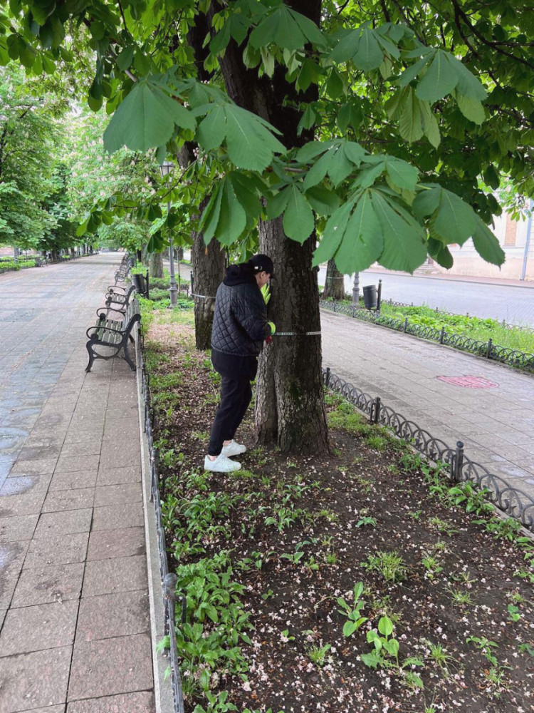 15328 image for slide