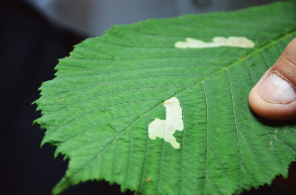 15330 image for slide