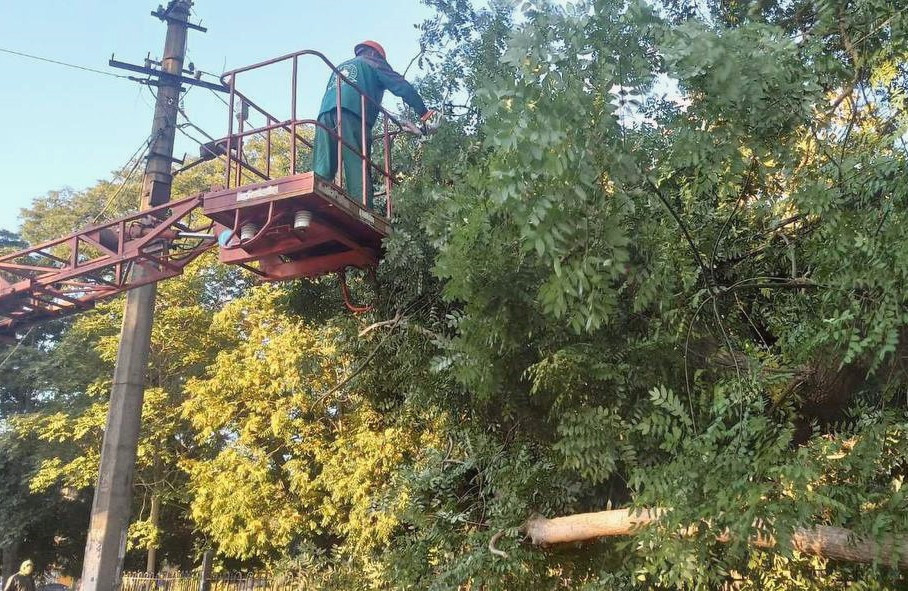 15569 image for slide