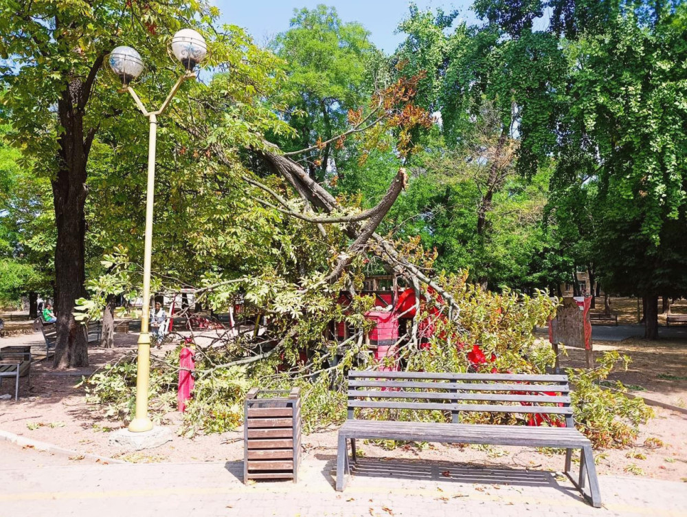 15572 image for slide