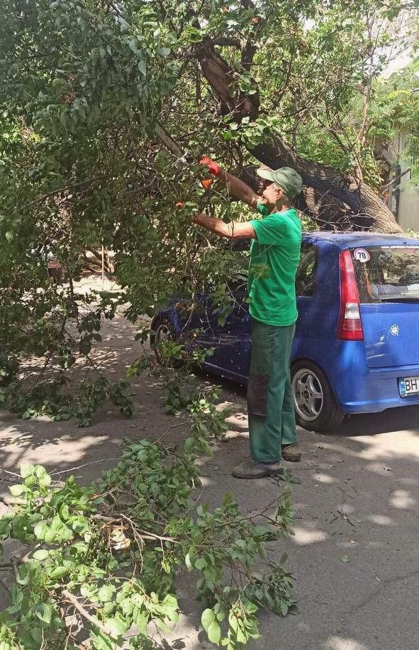 15573 image for slide