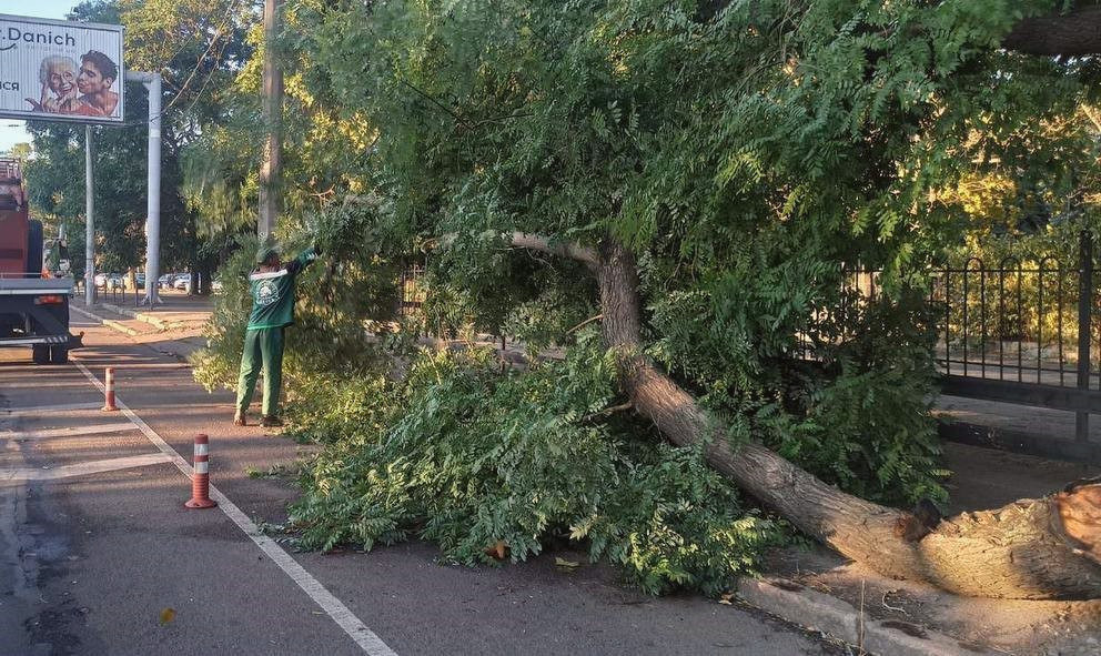 15575 image for slide