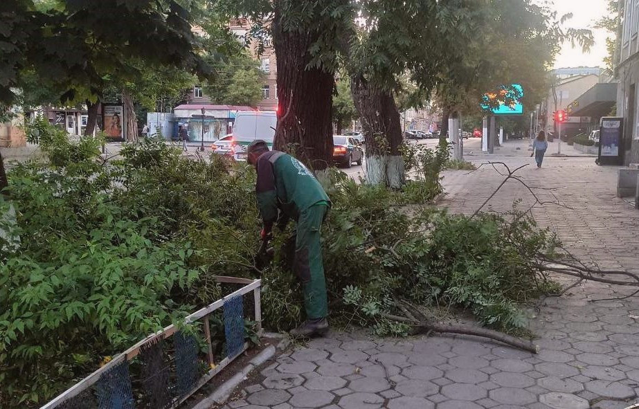 15577 image for slide