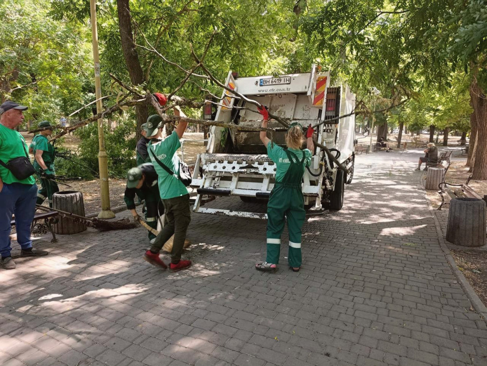 15578 image for slide