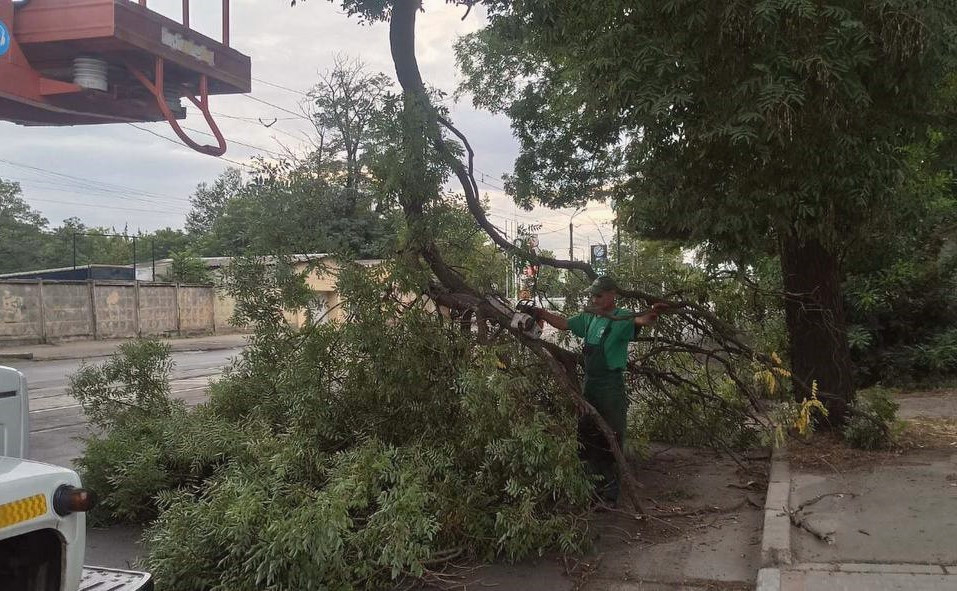 15579 image for slide