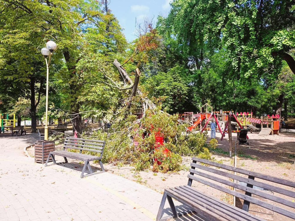 15580 image for slide