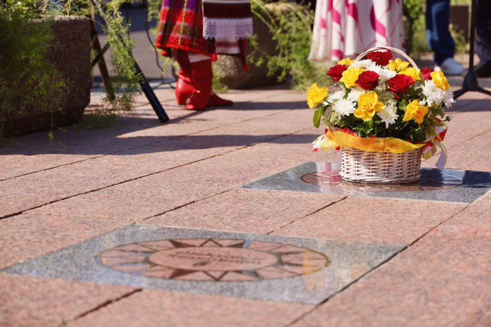 15731 image for slide