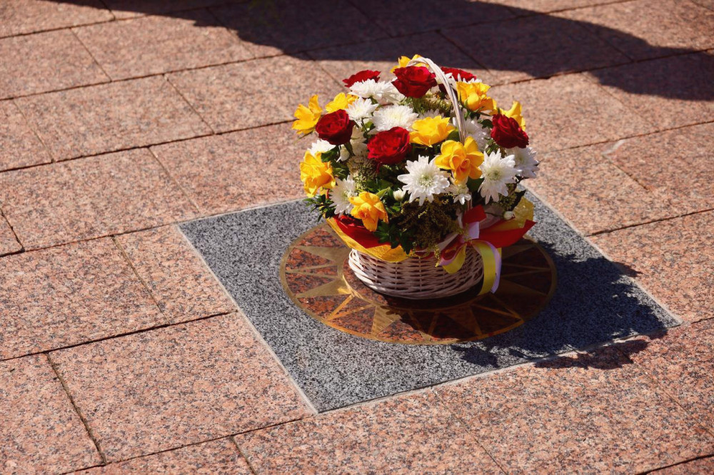 15735 image for slide