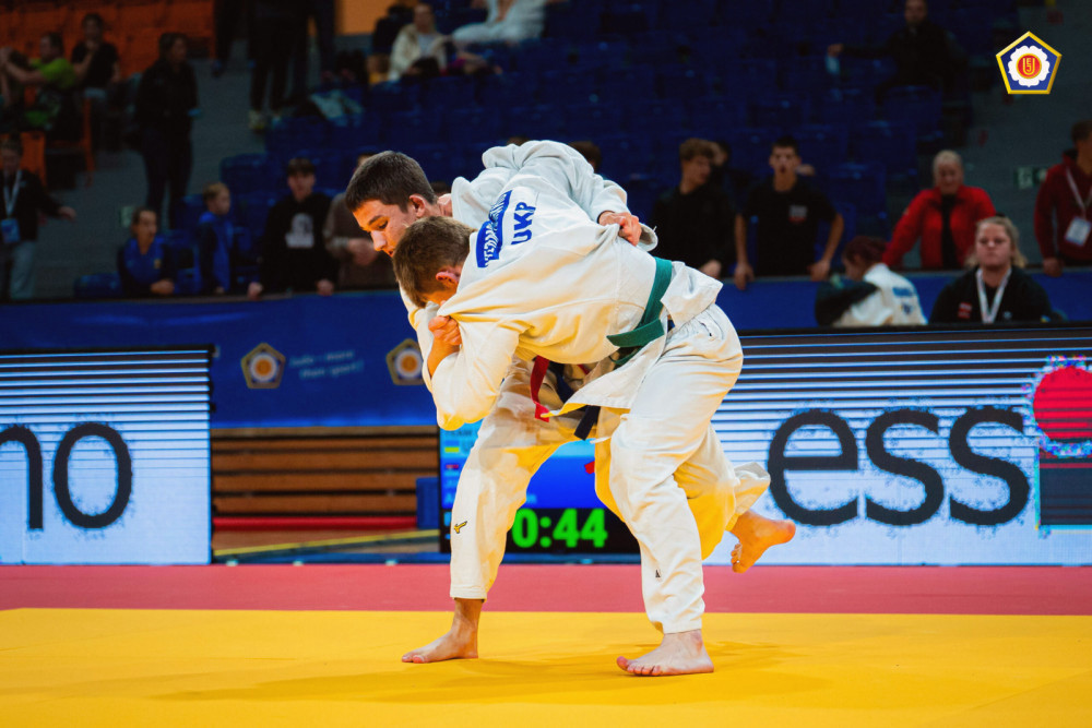 16403 image for slide