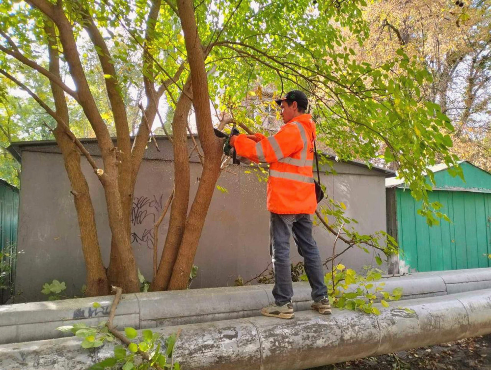 16590 image for slide