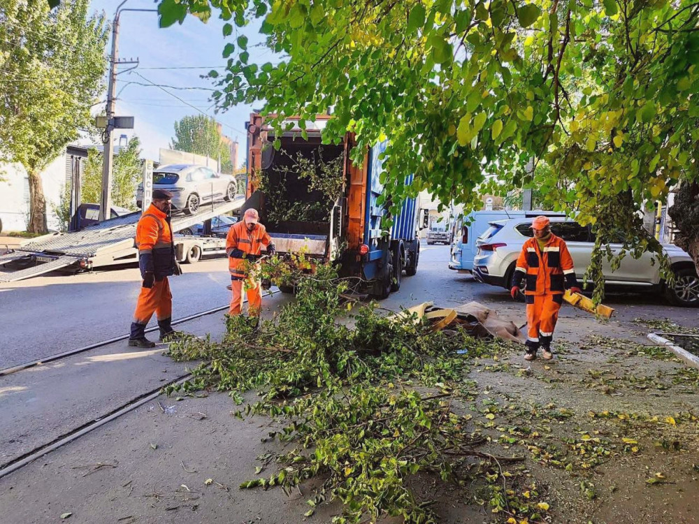 16591 image for slide