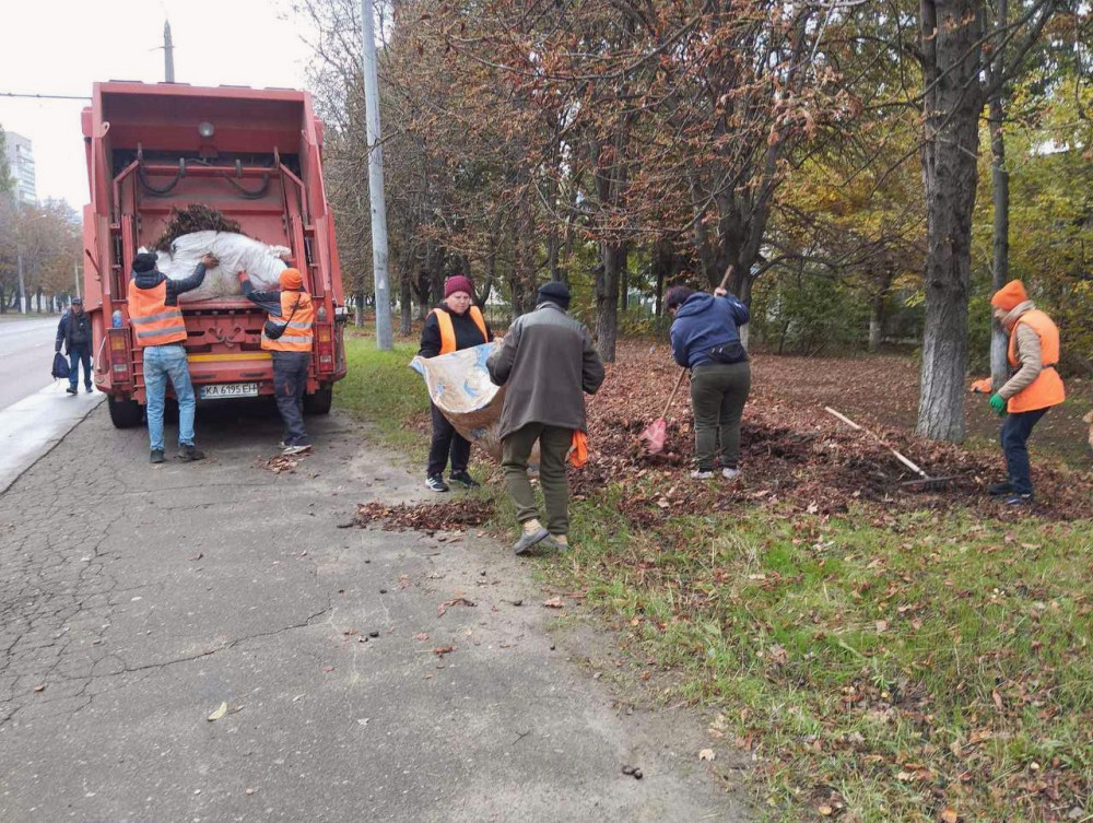 16592 image for slide