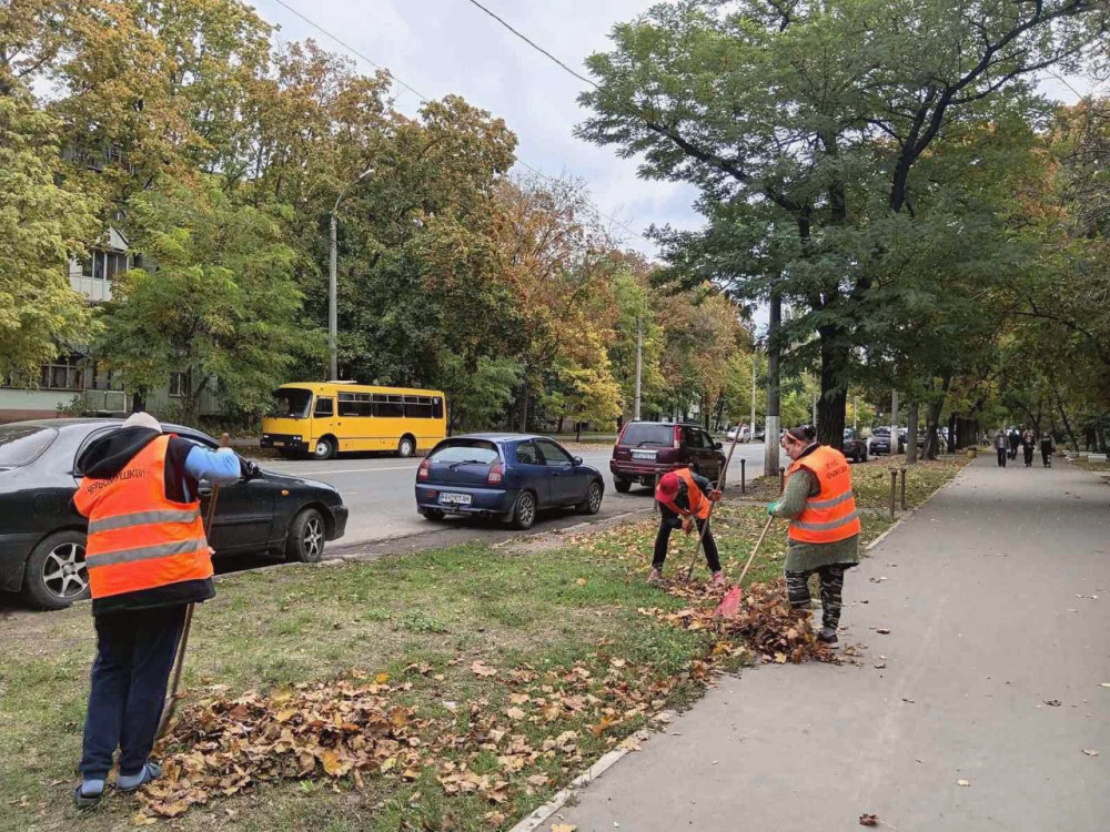 16593 image for slide