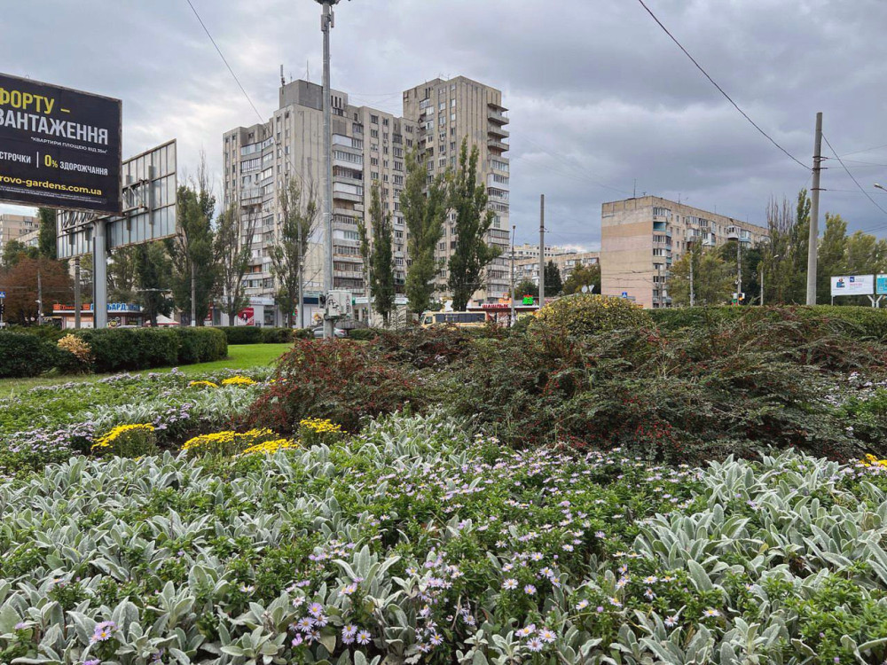 16655 image for slide