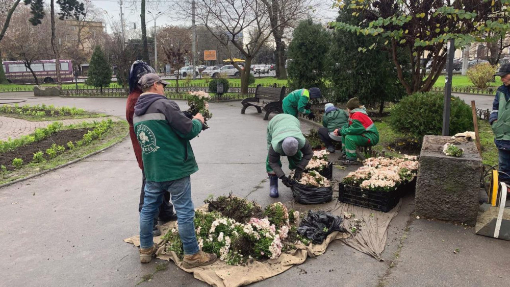 17163 image for slide