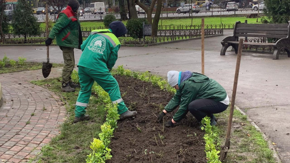 17164 image for slide