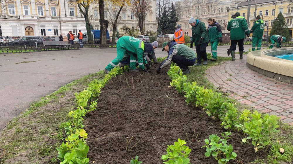 17166 image for slide