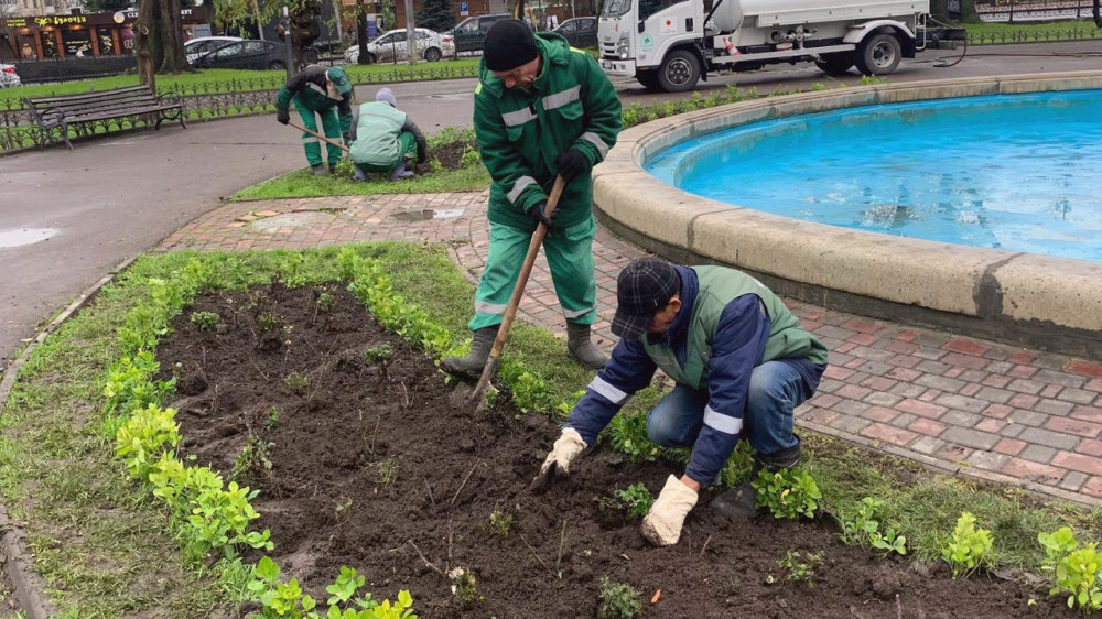 17167 image for slide