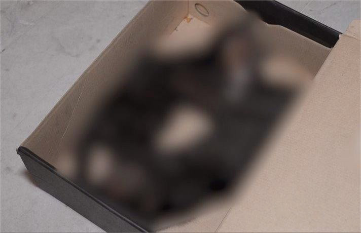 17252 image for slide