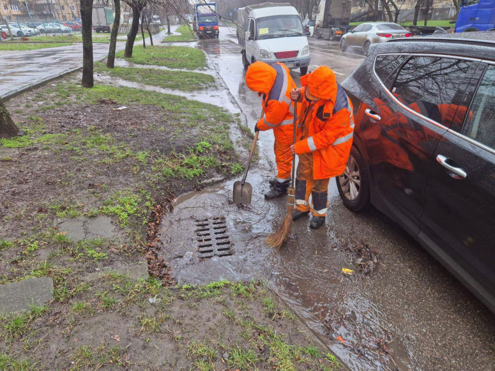 17320 image for slide