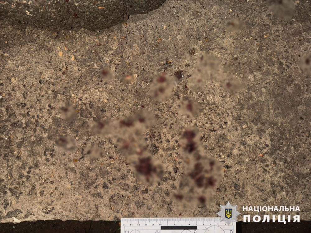 9561 image for slide