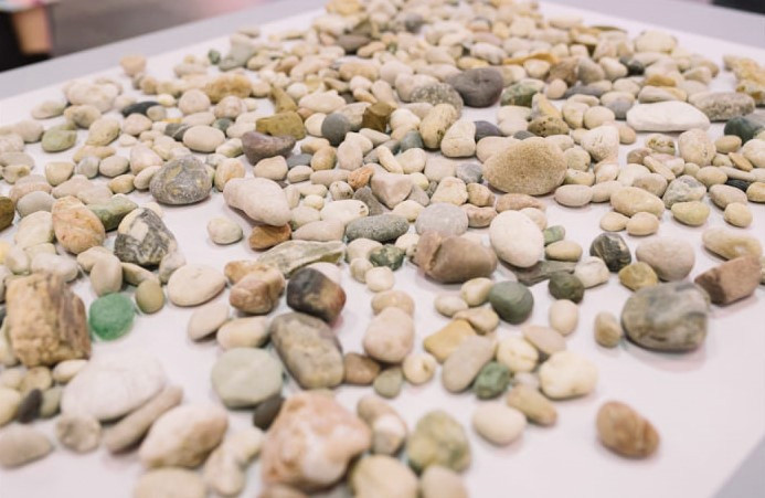 9879 image for slide